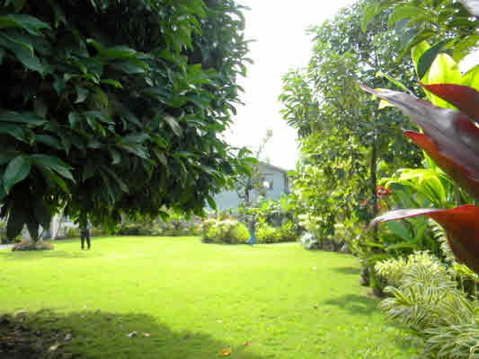 399 Kaholalele Road Kapaa, HI 96746 - Photo 23 of 24 Gallery Image 23