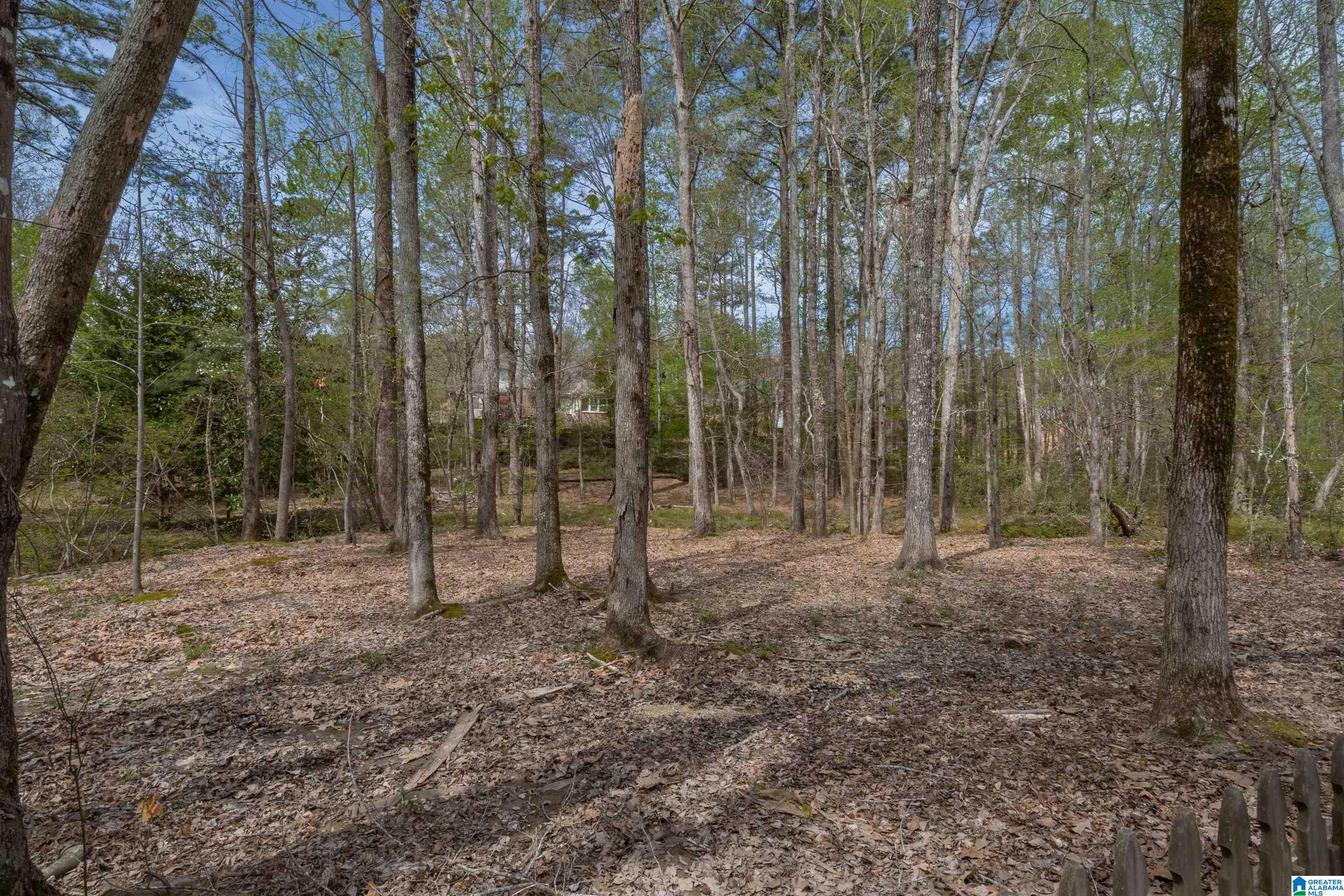 3056 Highland Lakes Road Birmingham, AL 35242 - Photo 64 of 81