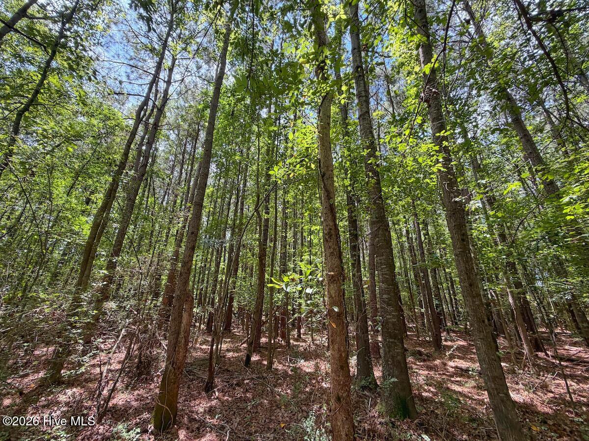 4 Titan Roberts Road Erwin, NC 28339 - Photo 11 of 36