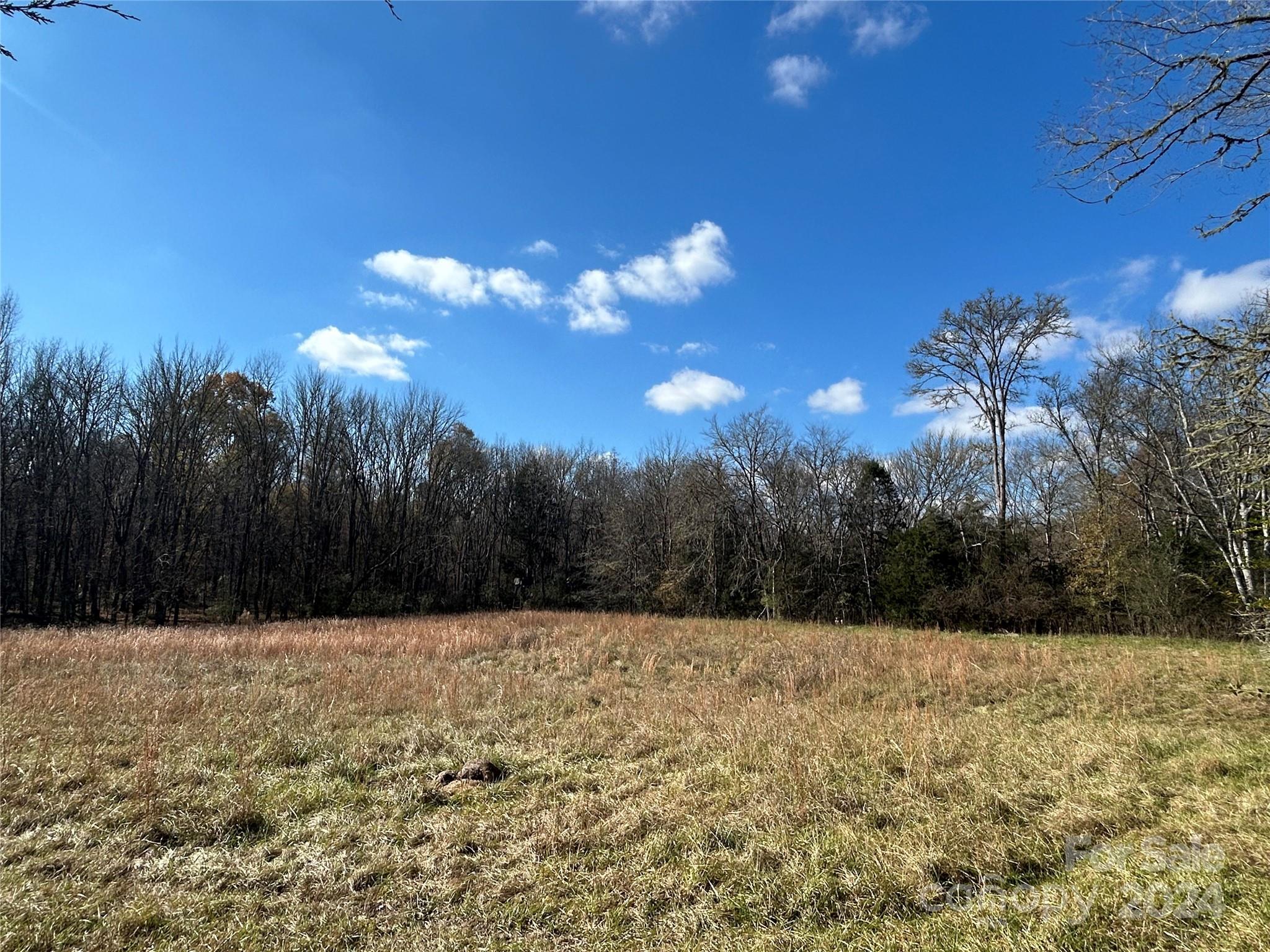 156-ac Calvary Church Road Carlisle, SC 29031 - Photo 1 of 48 Gallery Image 1