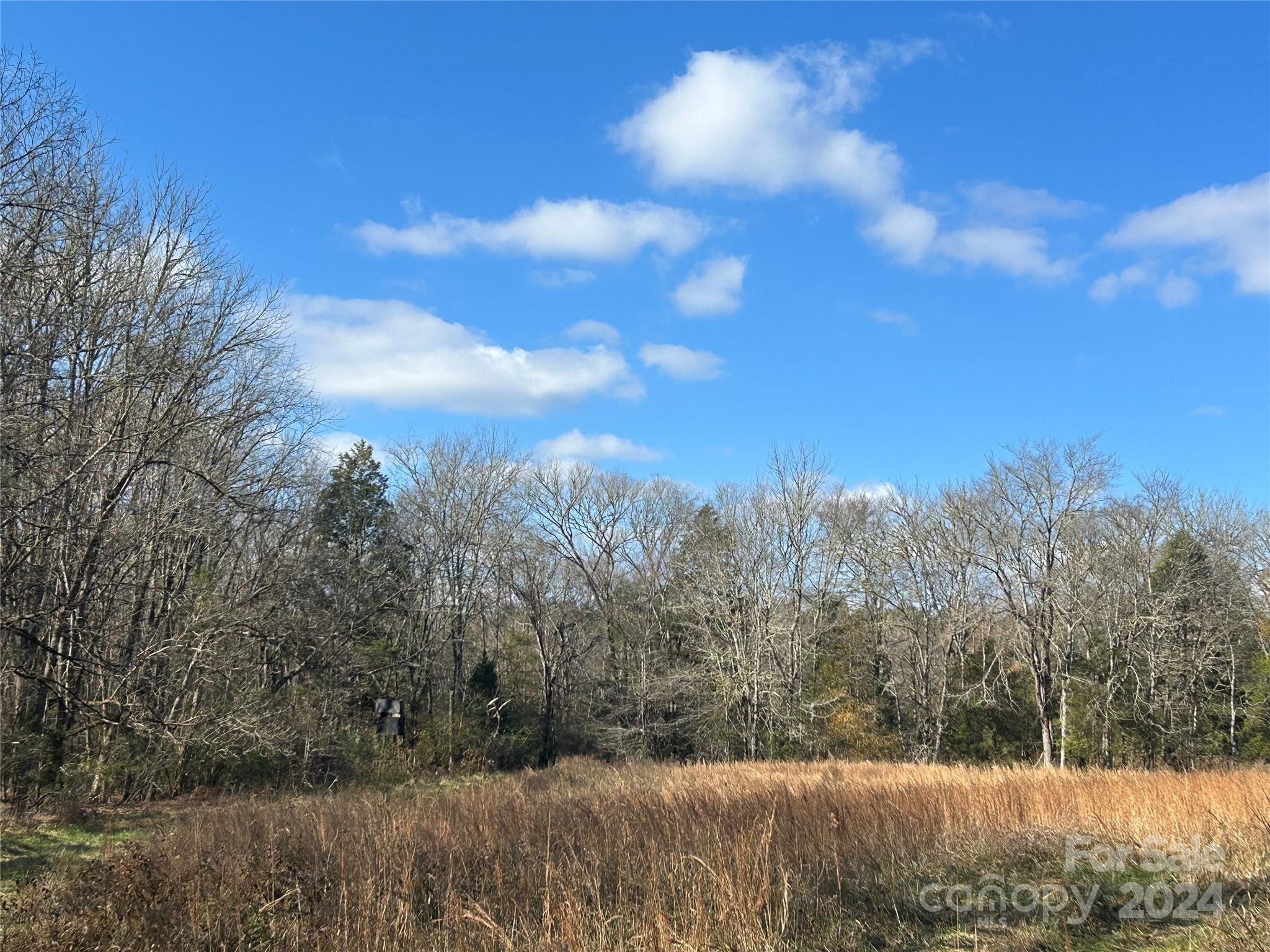 156-ac Calvary Church Road Carlisle, SC 29031 - Photo 12 of 48 Gallery Image 12