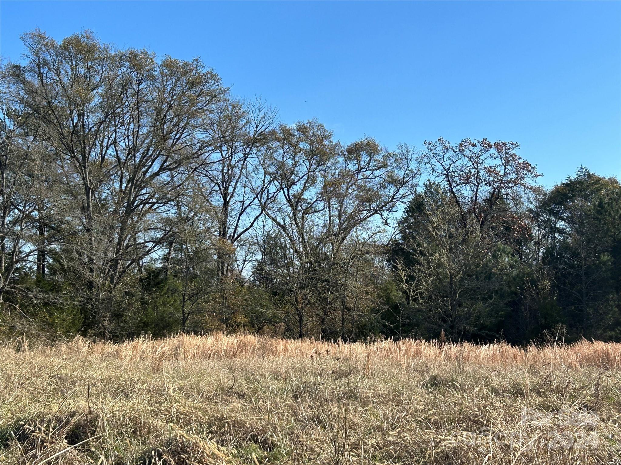 156-ac Calvary Church Road Carlisle, SC 29031 - Photo 14 of 48 Gallery Image 14