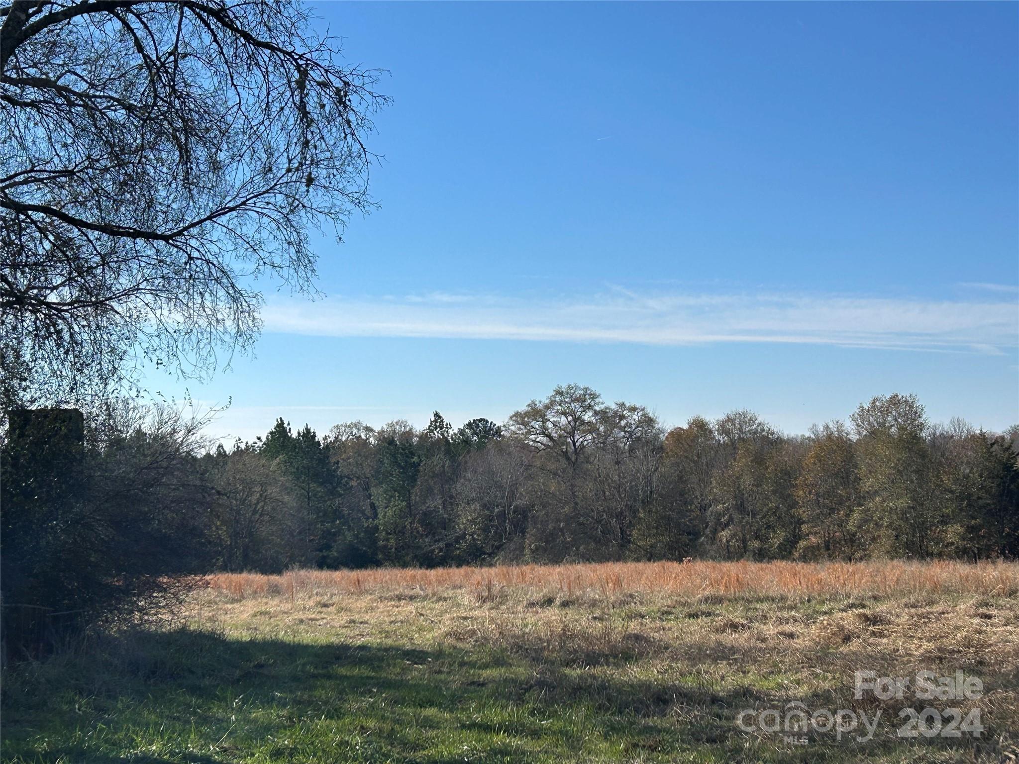 156-ac Calvary Church Road Carlisle, SC 29031 - Photo 15 of 48 Gallery Image 15