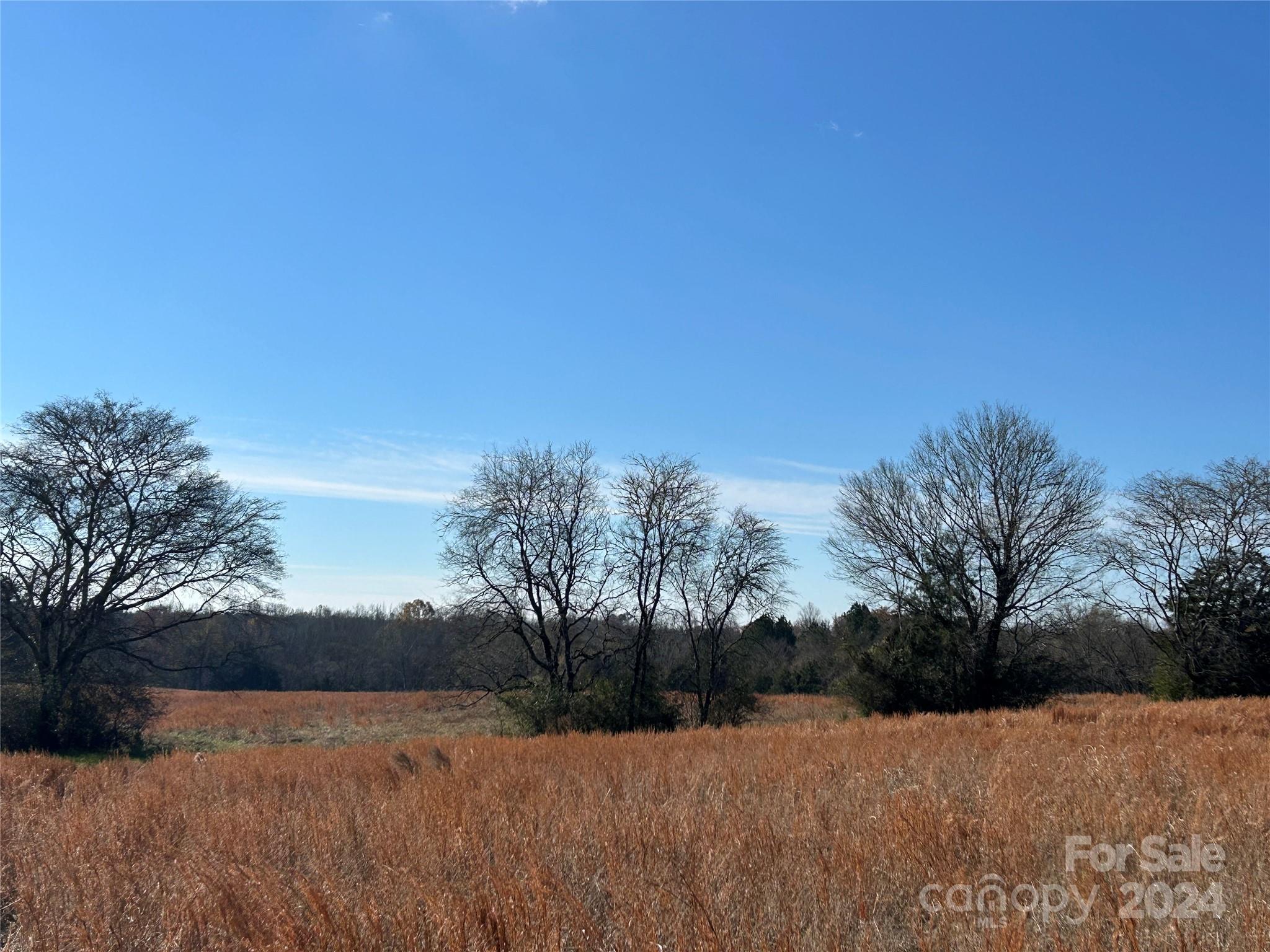 156-ac Calvary Church Road Carlisle, SC 29031 - Photo 17 of 48 Gallery Image 17
