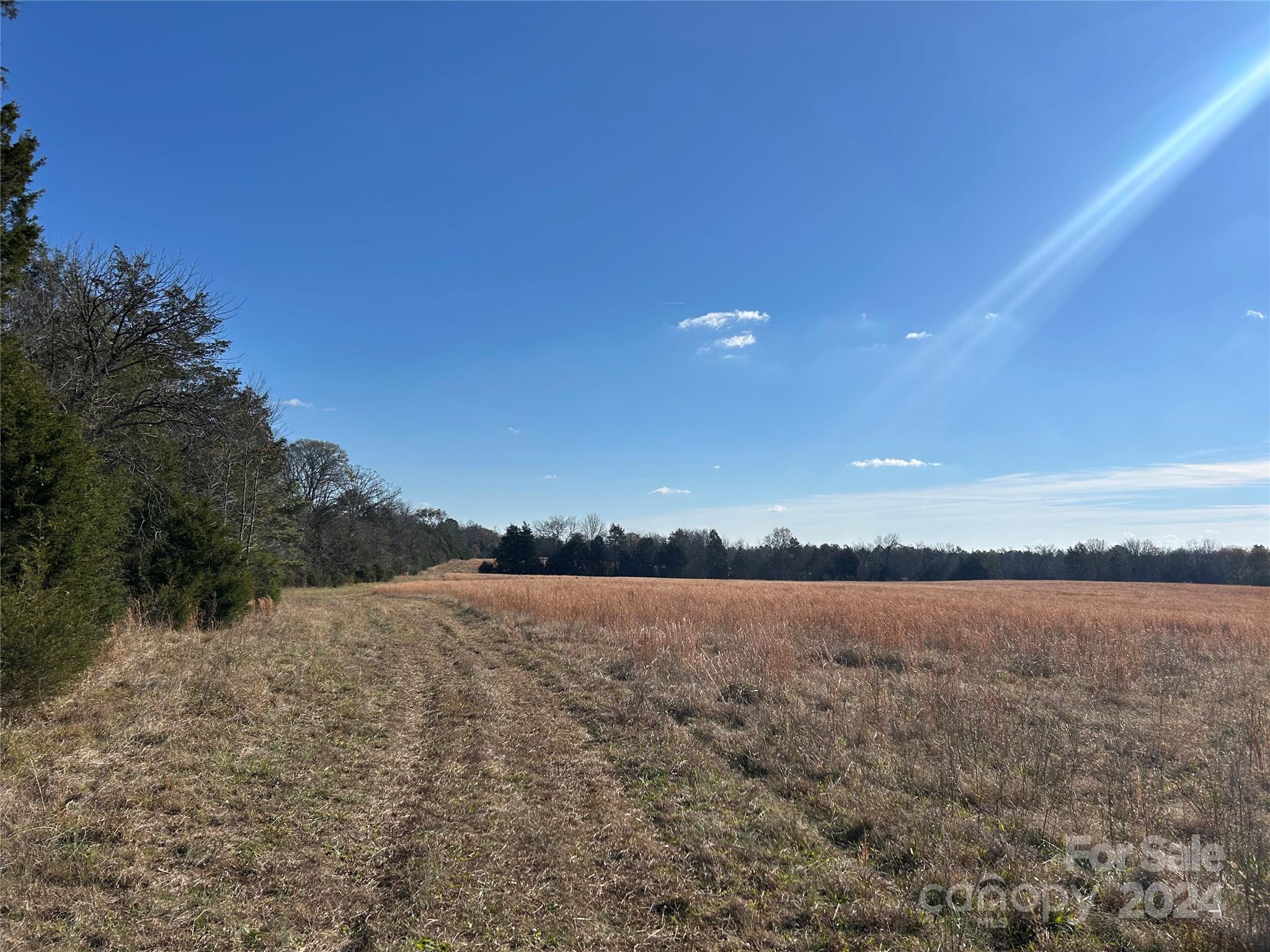 156-ac Calvary Church Road Carlisle, SC 29031 - Photo 23 of 48 Gallery Image 23