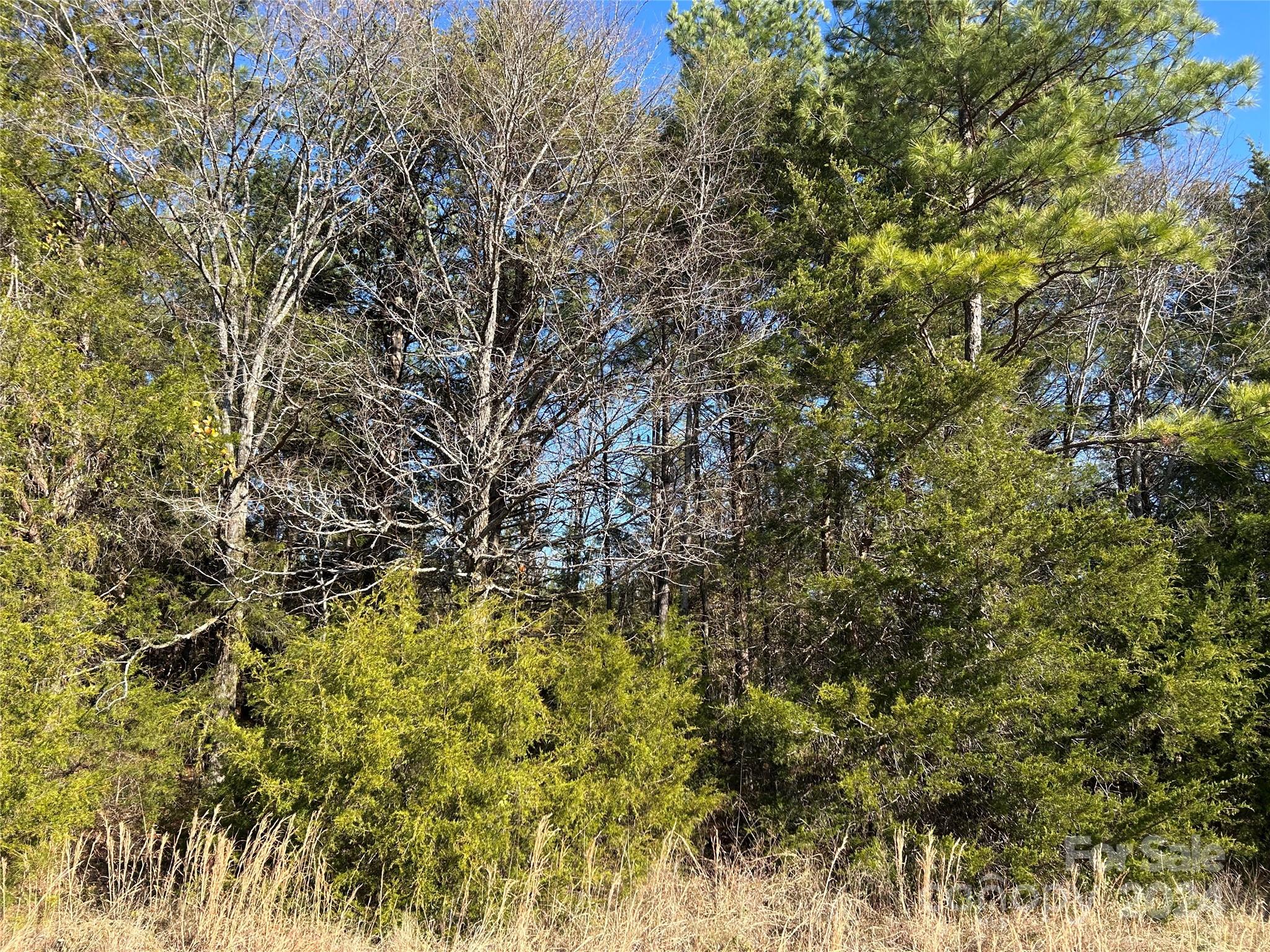 156-ac Calvary Church Road Carlisle, SC 29031 - Photo 25 of 48 Gallery Image 25