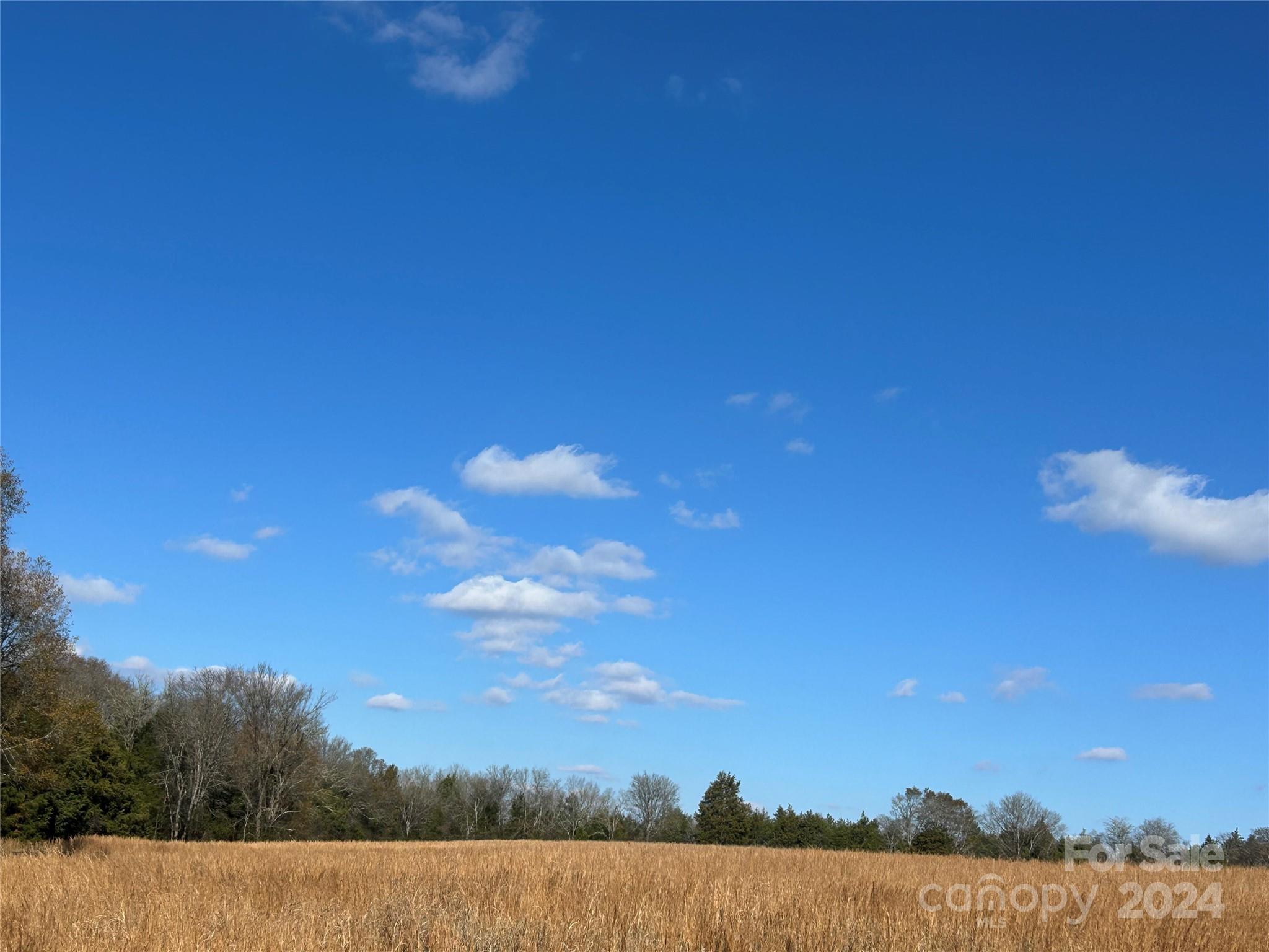 156-ac Calvary Church Road Carlisle, SC 29031 - Photo 3 of 48 Gallery Image 3