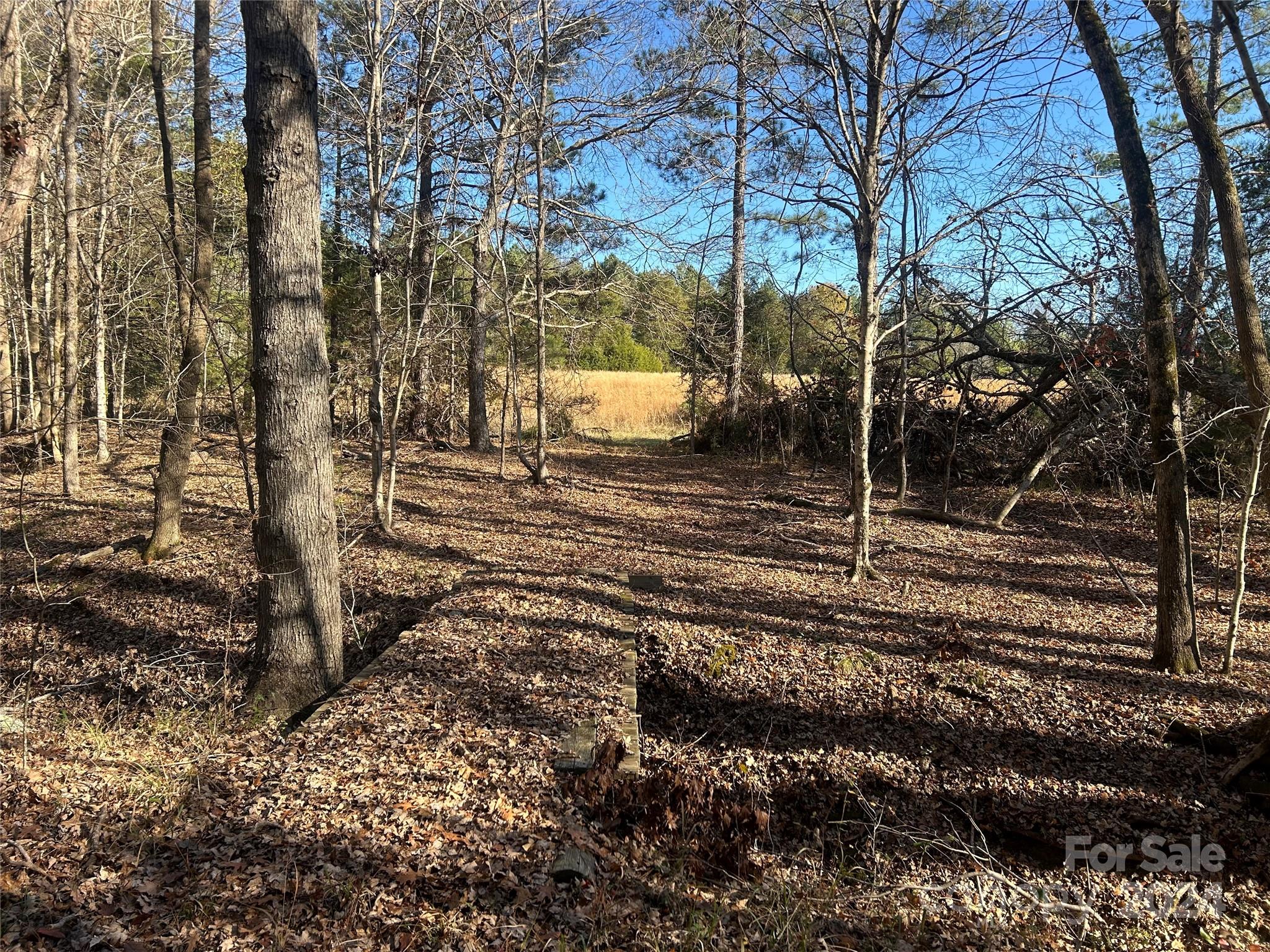 156-ac Calvary Church Road Carlisle, SC 29031 - Photo 34 of 48 Gallery Image 34