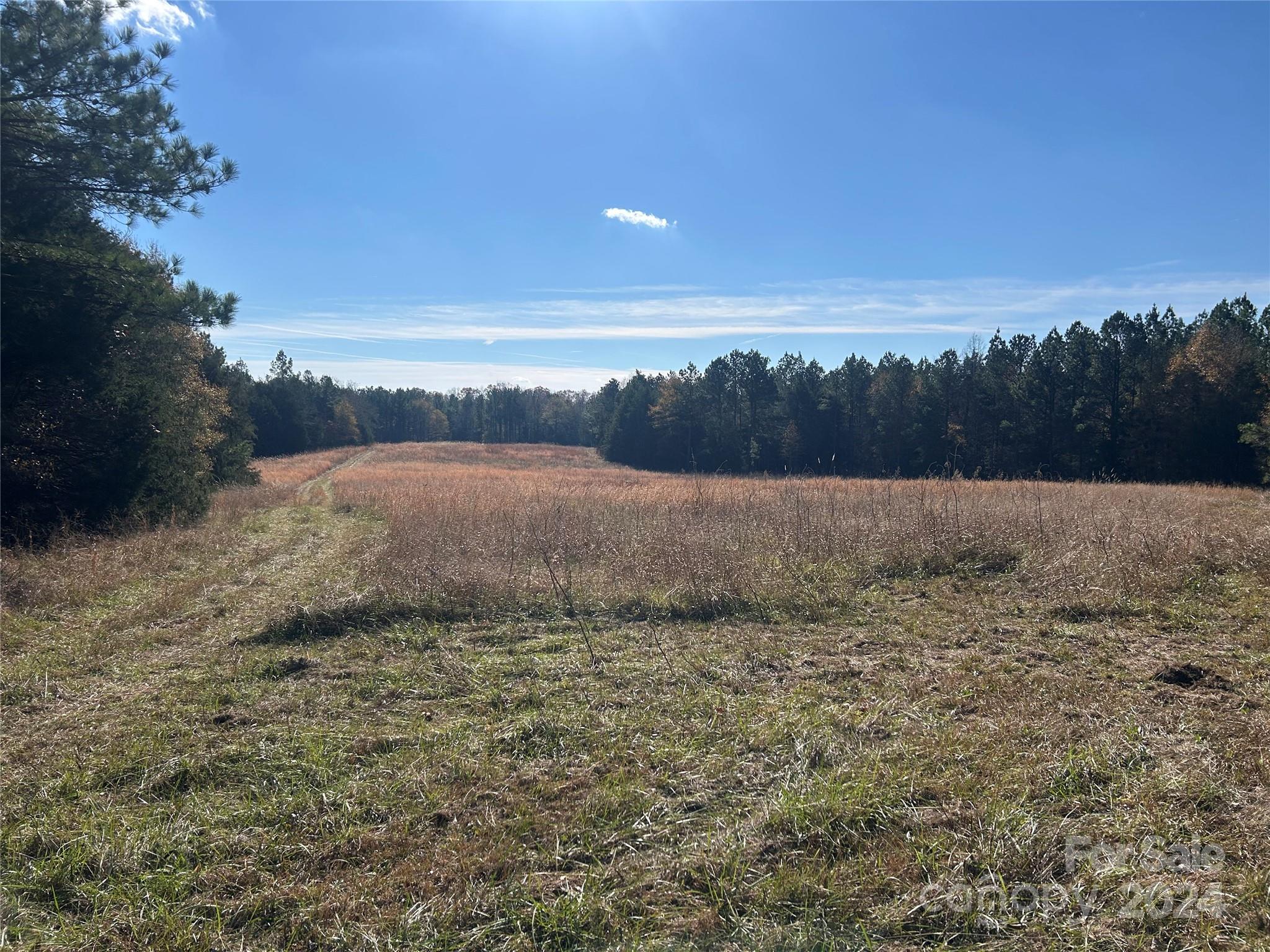 156-ac Calvary Church Road Carlisle, SC 29031 - Photo 38 of 48 Gallery Image 38