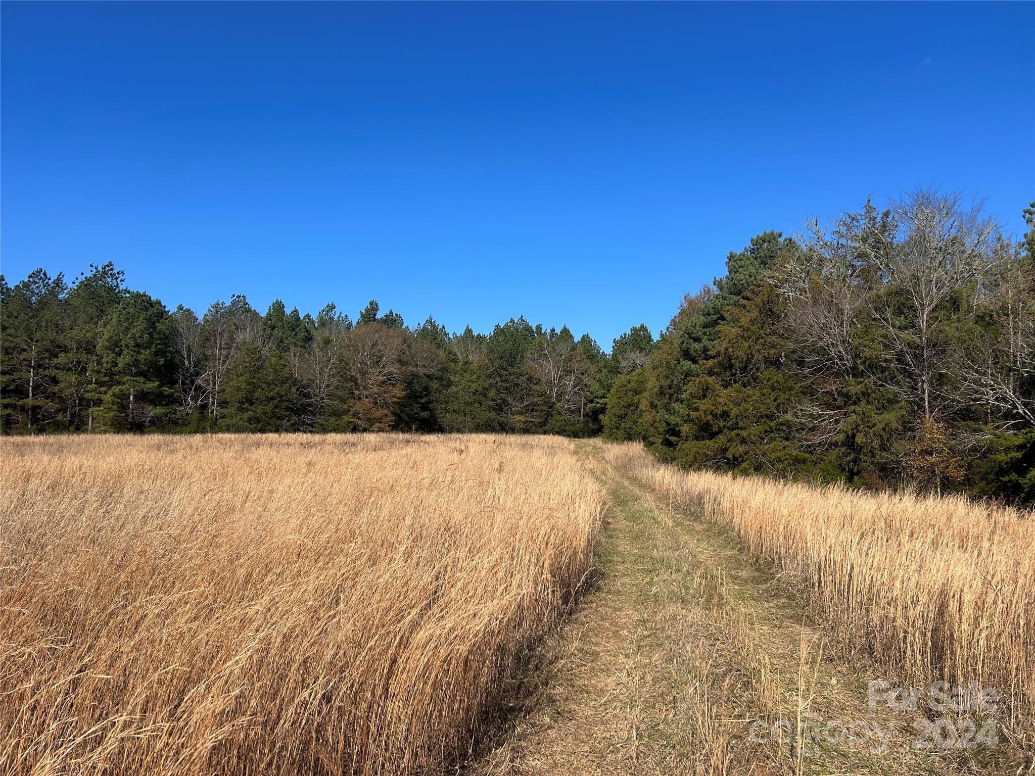 156-ac Calvary Church Road Carlisle, SC 29031 - Photo 40 of 48 Gallery Image 40