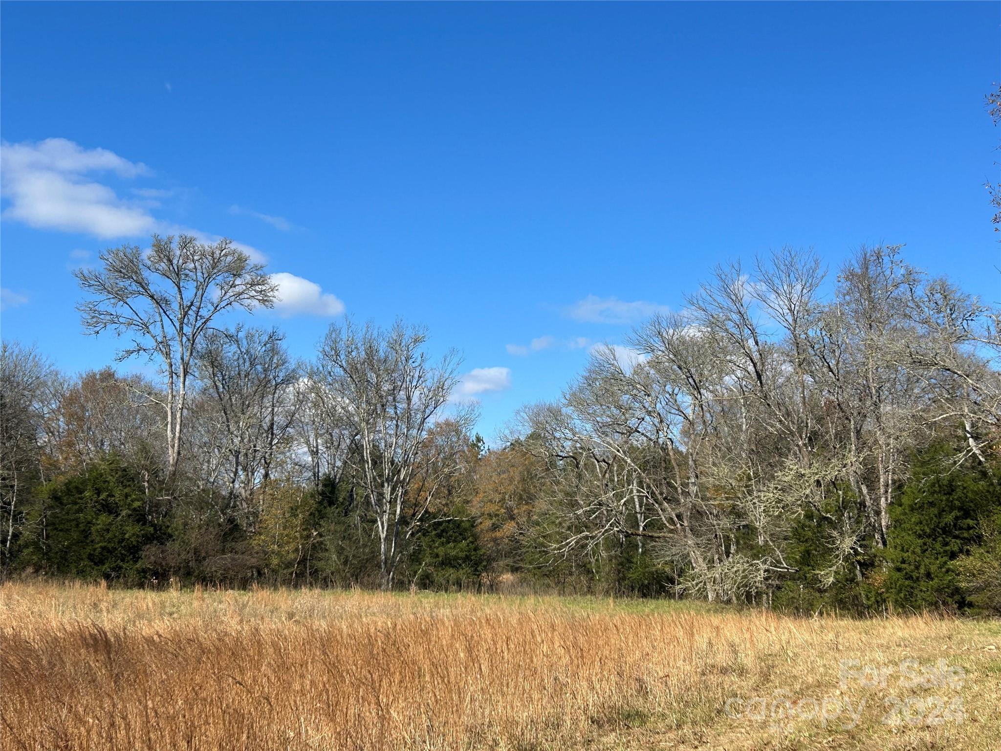 156-ac Calvary Church Road Carlisle, SC 29031 - Photo 4 of 48 Gallery Image 4