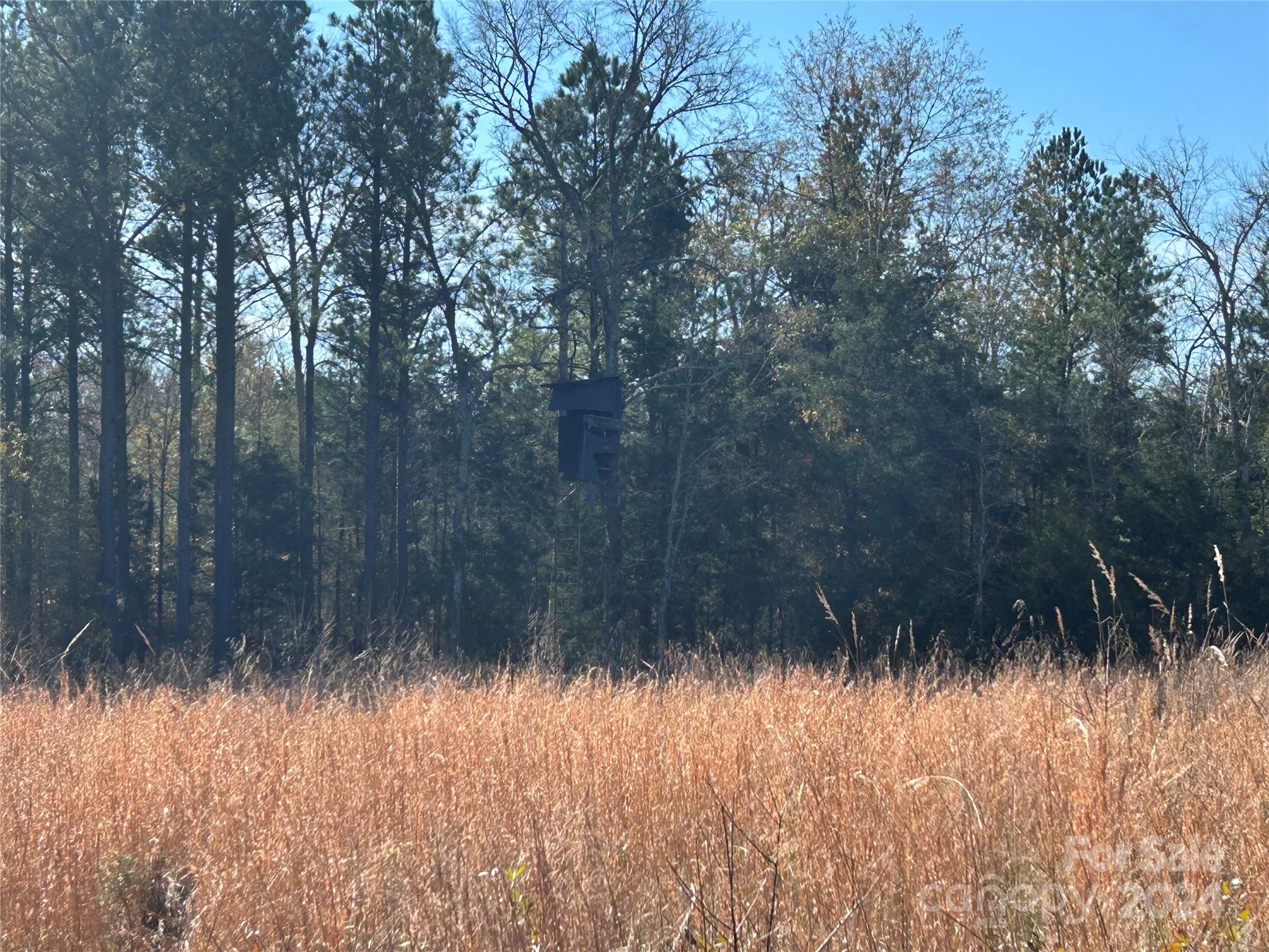 156-ac Calvary Church Road Carlisle, SC 29031 - Photo 41 of 48 Gallery Image 41