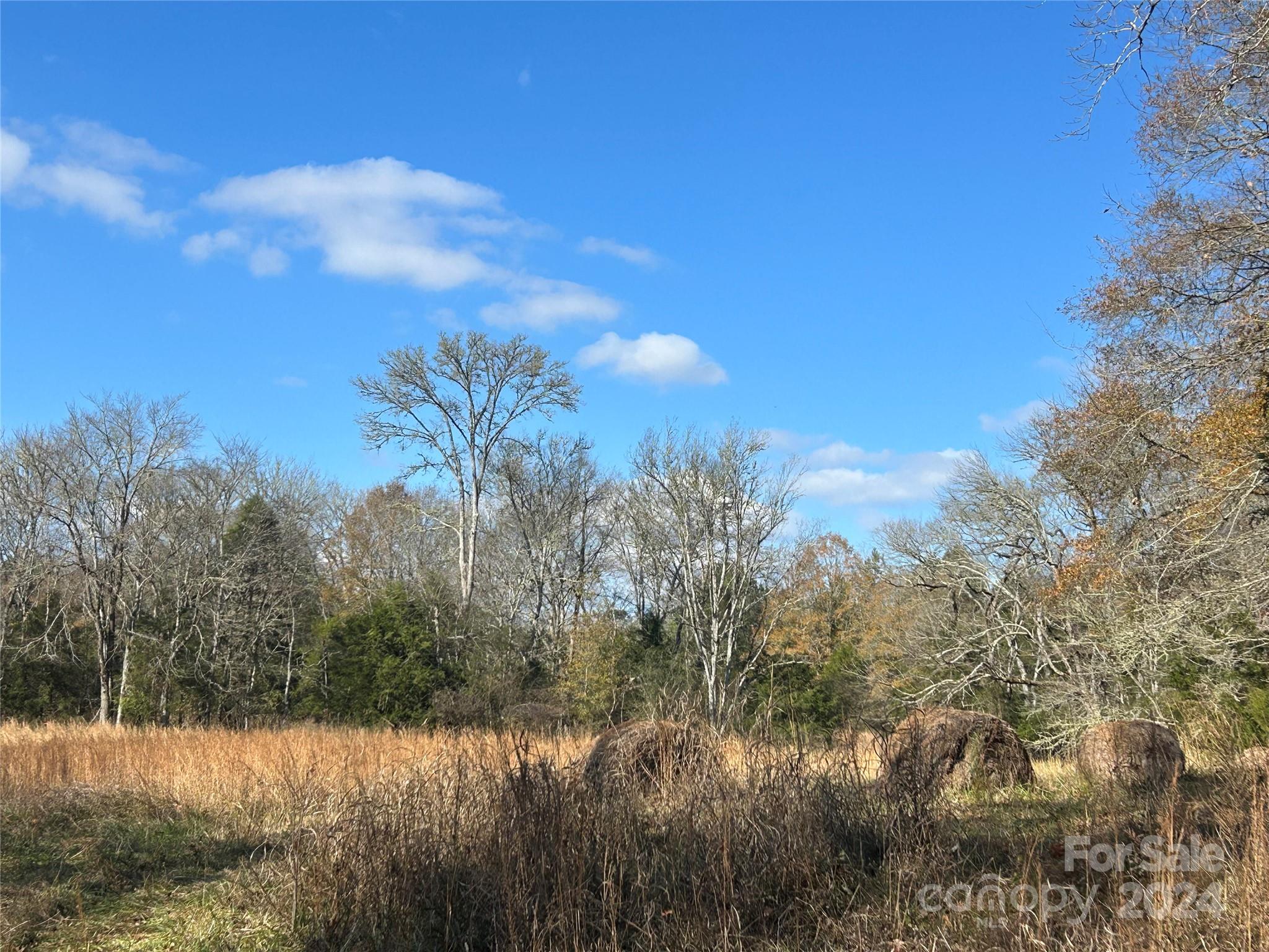 156-ac Calvary Church Road Carlisle, SC 29031 - Photo 6 of 48 Gallery Image 6