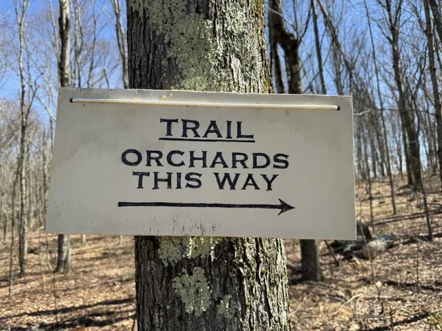 a view of a wooden house