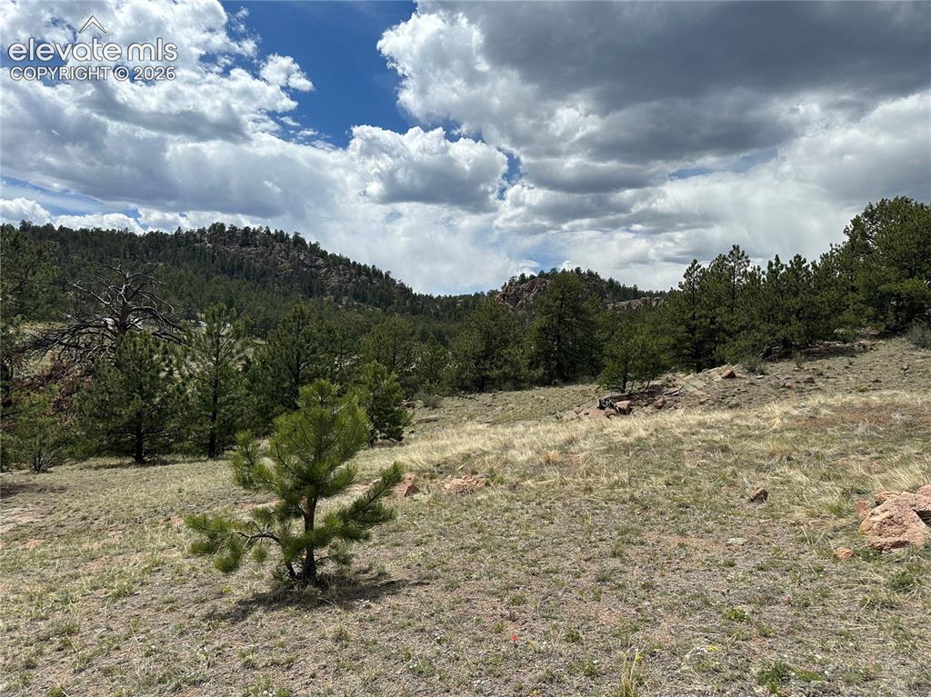 2332 County Road Florissant, CO 80816 - Photo 9 of 20 Gallery Image 9