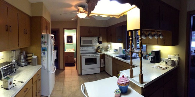 126 Old Creek Road Palos Park, IL 60464 - Photo 4 of 16