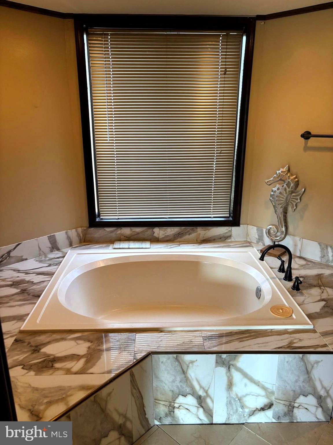 207 Sky Ridge Road High View, WV 26808 - Photo 13 of 37 Primary bathroom soaking tub