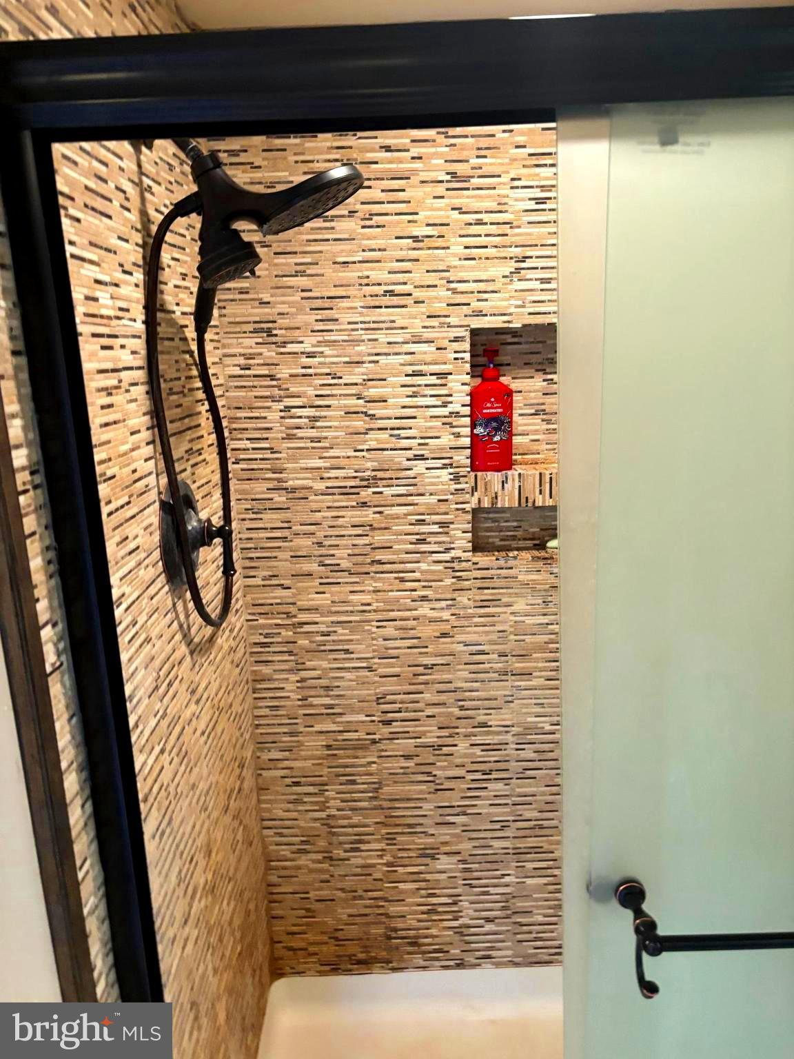 207 Sky Ridge Road High View, WV 26808 - Photo 15 of 37 Primary bathroom walk in shower