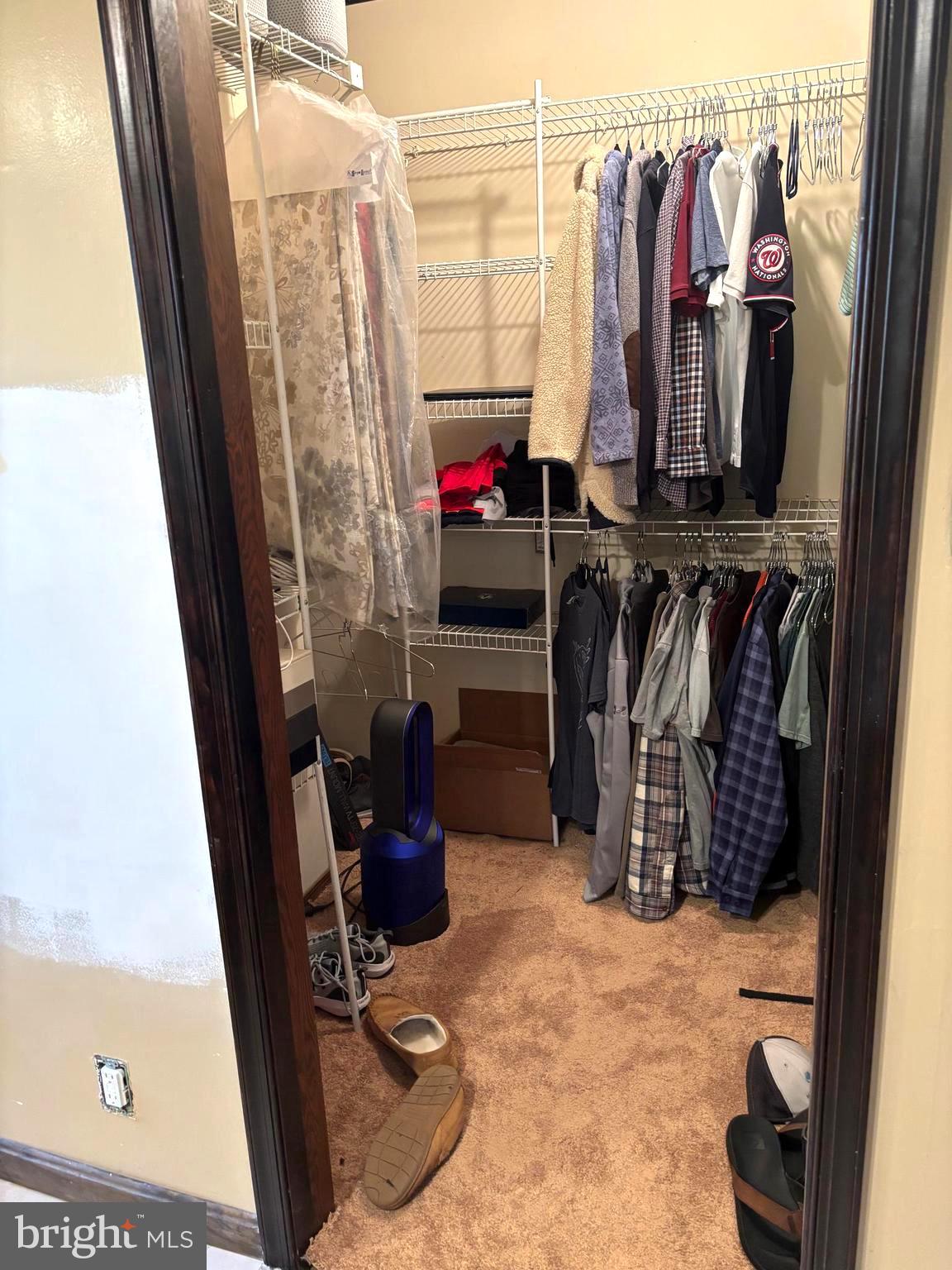 207 Sky Ridge Road High View, WV 26808 - Photo 16 of 37 Primary bedroom walk in closet