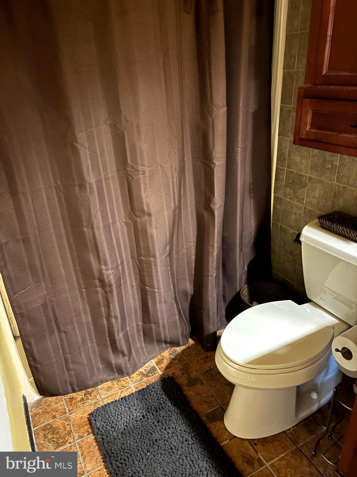 207 Sky Ridge Road High View, WV 26808 - Photo 20 of 37 Shared bathroom