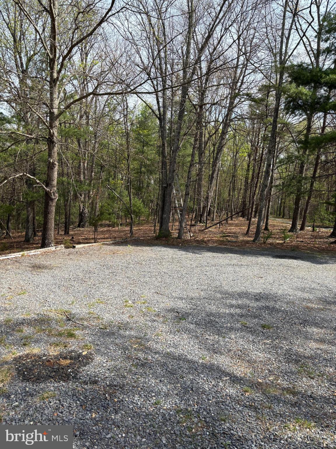 207 Sky Ridge Road High View, WV 26808 - Photo 33 of 37 Parking area