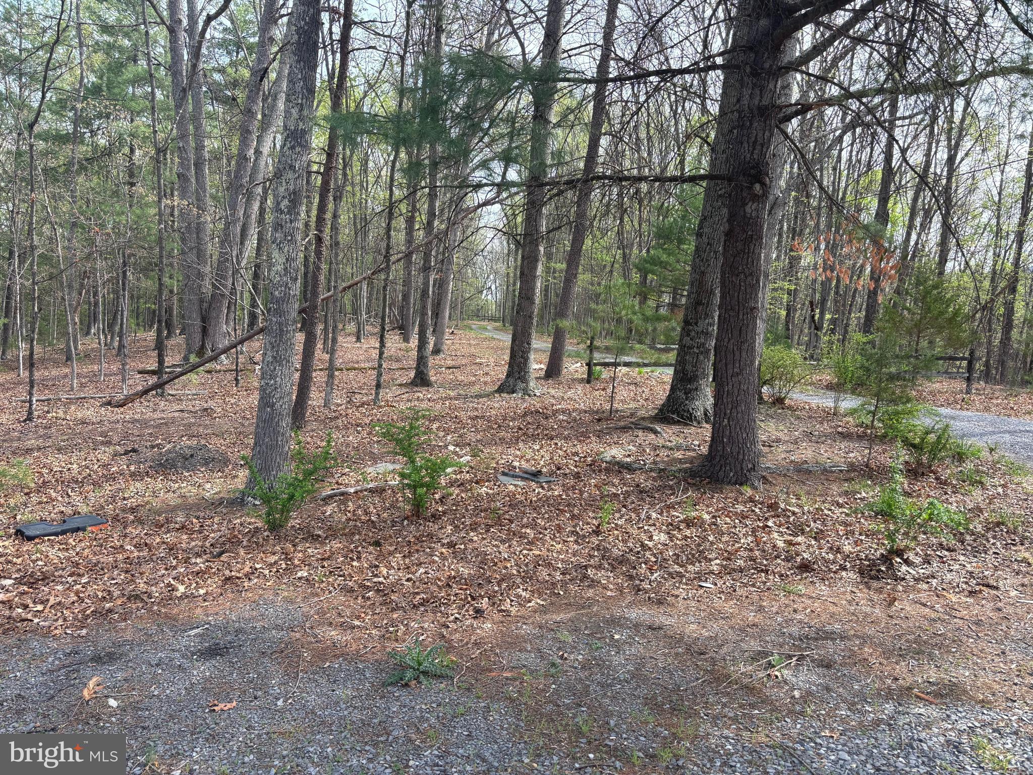 207 Sky Ridge Road High View, WV 26808 - Photo 34 of 37 View of the lane
