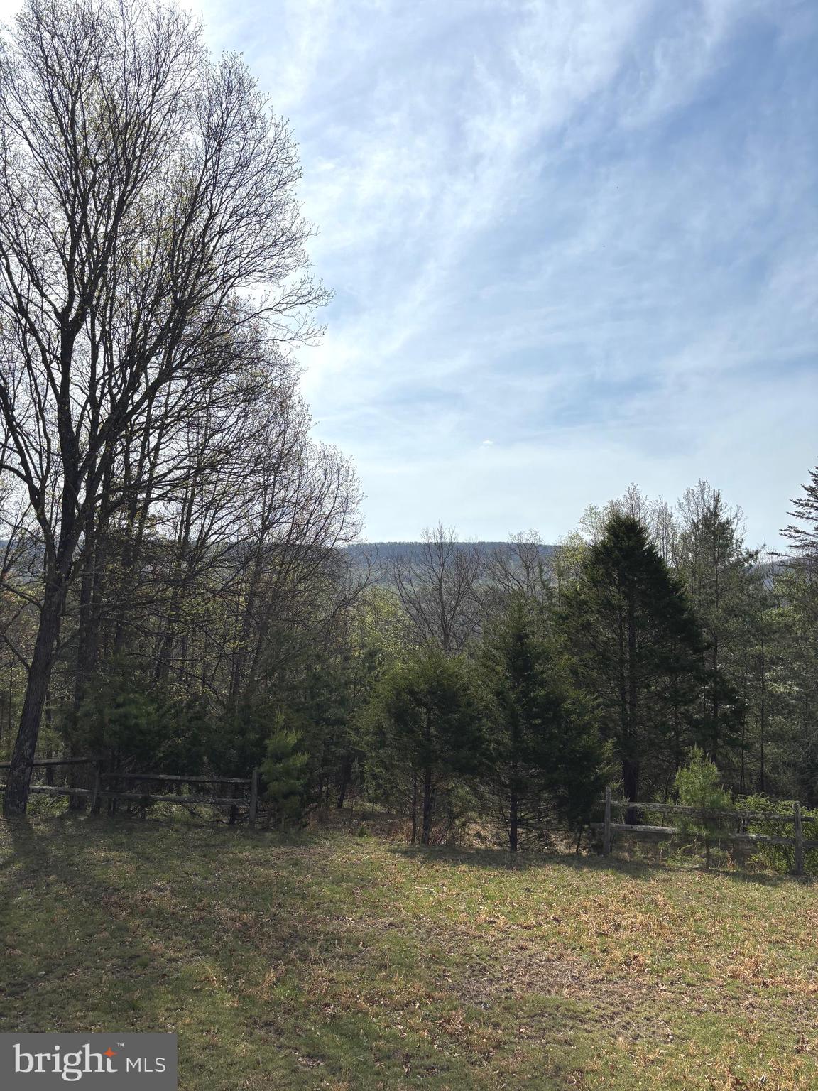 207 Sky Ridge Road High View, WV 26808 - Photo 35 of 37 Back yard view