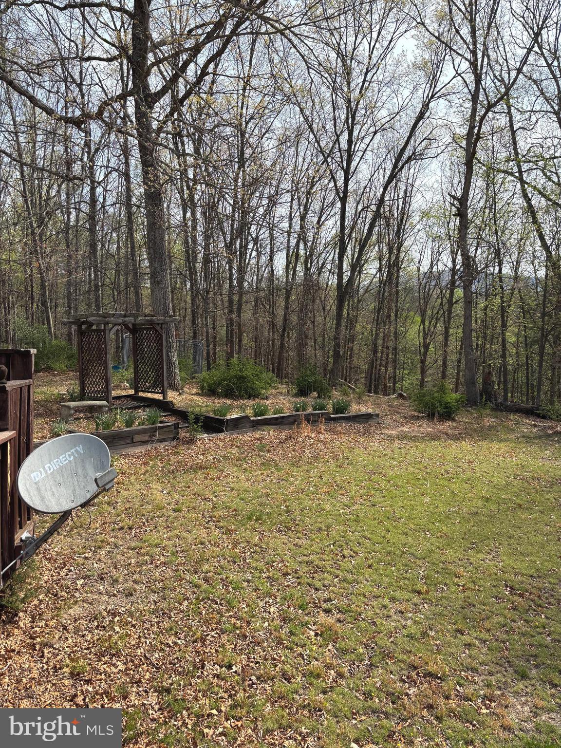 207 Sky Ridge Road High View, WV 26808 - Photo 36 of 37 Back yard view