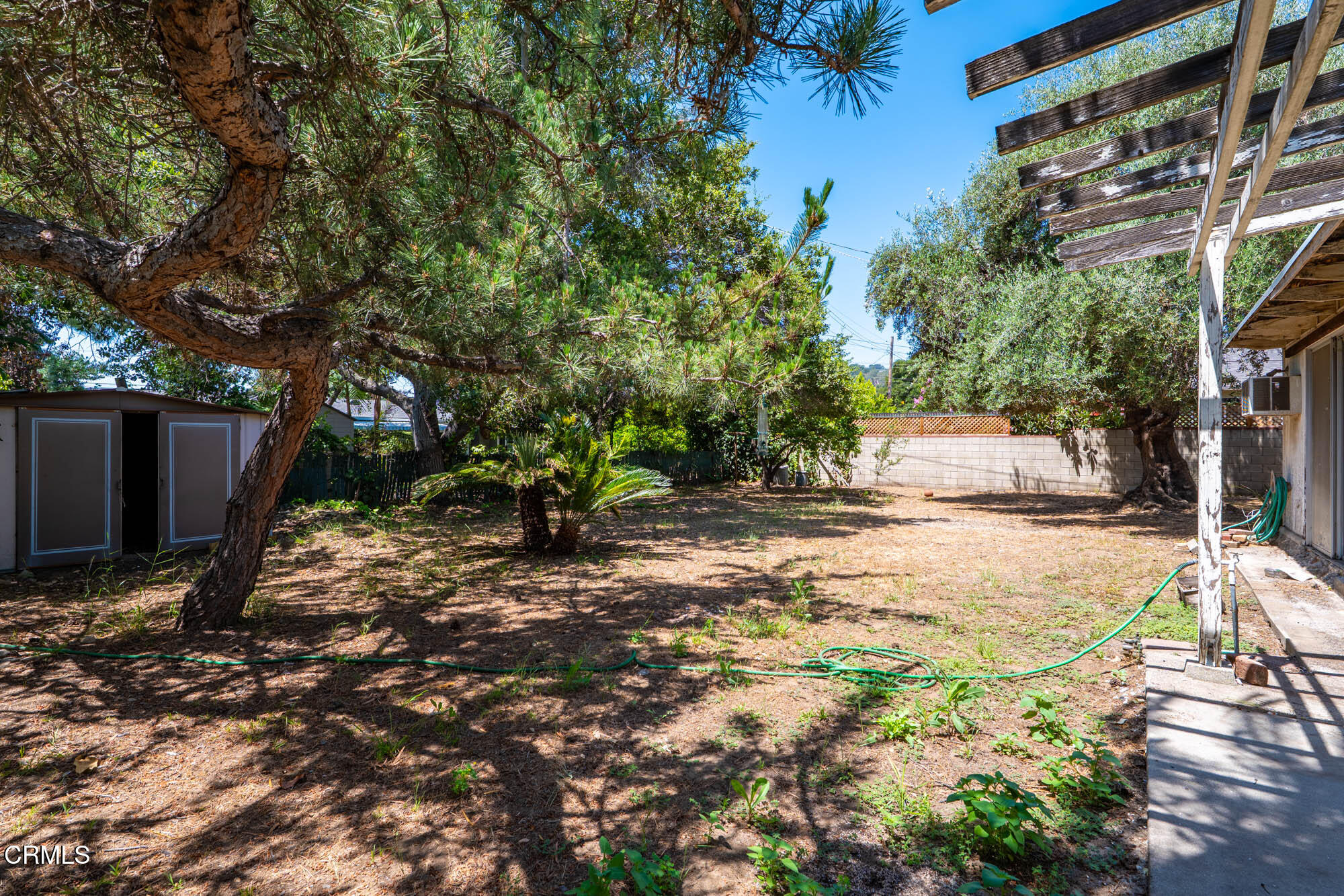 890 Arwin Street Pasadena, CA 91103 - Photo 28 of 40 a backyard of a house with lots of green space