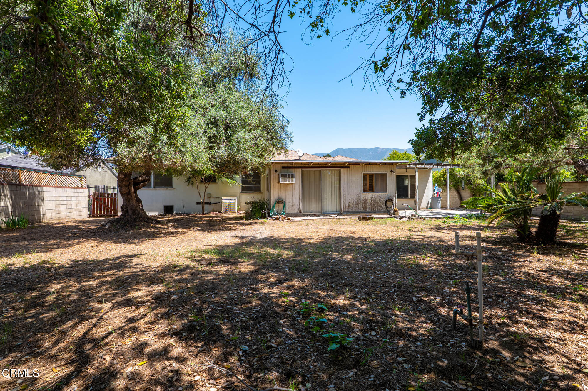 890 Arwin Street Pasadena, CA 91103 - Photo 29 of 40 a backyard of a house with large trees and outdoor space