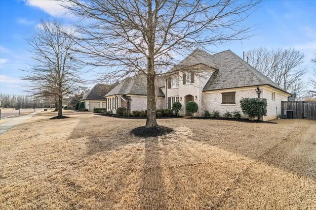 a view of street with a tree in front of house