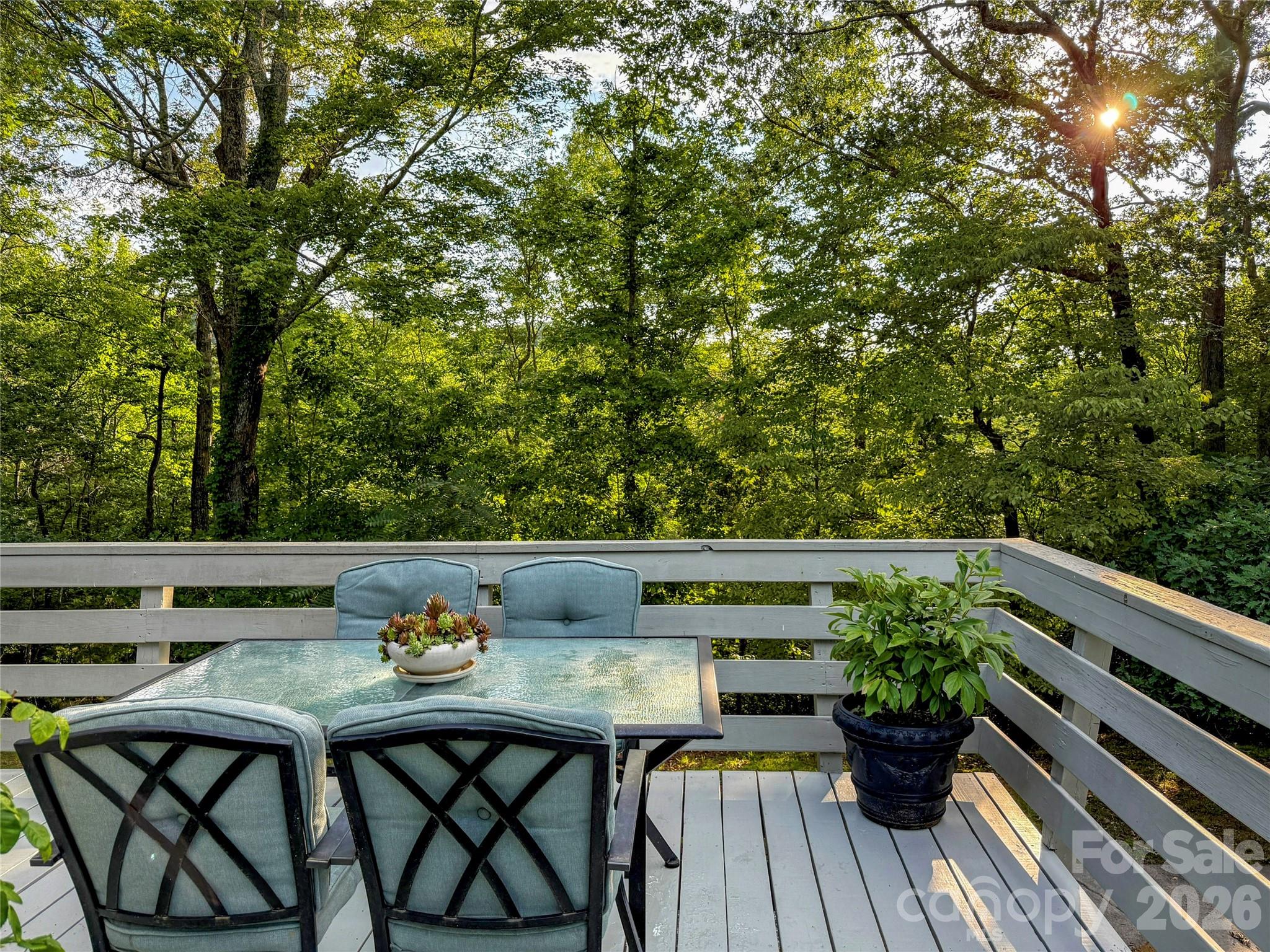 550 South River Road Tryon, NC 28782 - Photo 29 of 47