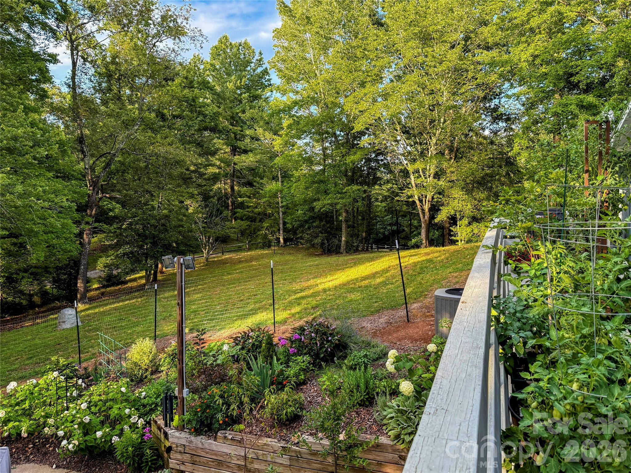 550 South River Road Tryon, NC 28782 - Photo 30 of 47 a view of a park with large trees