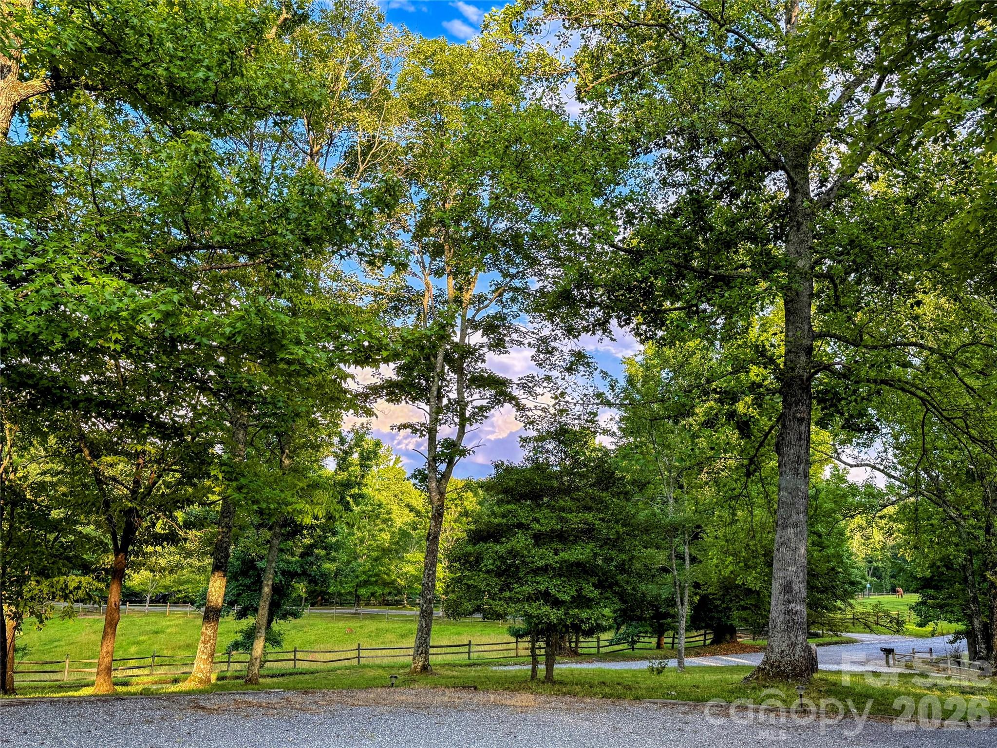 550 South River Road Tryon, NC 28782 - Photo 36 of 47 a view of a park with large trees