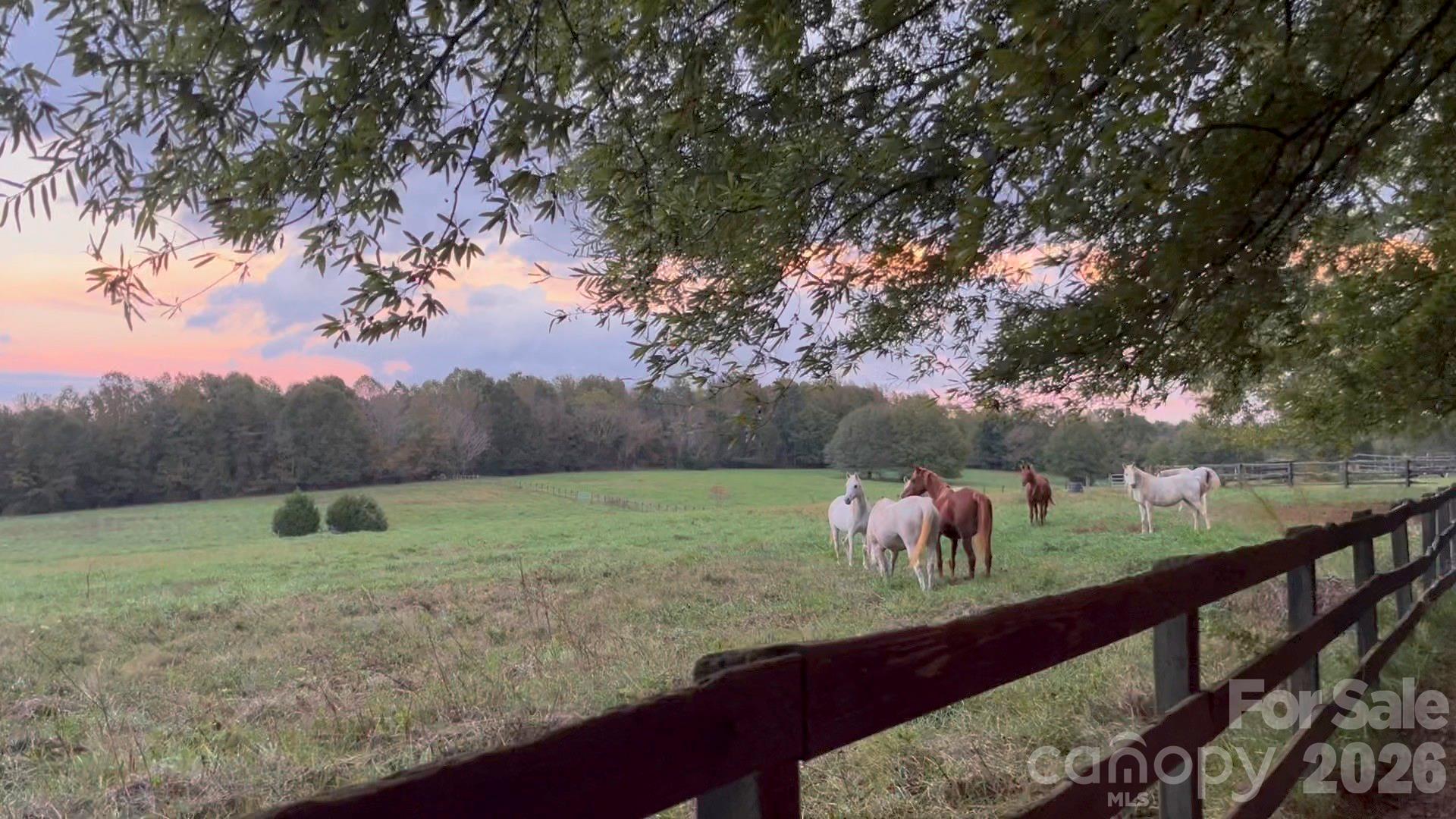 550 South River Road Tryon, NC 28782 - Photo 40 of 41