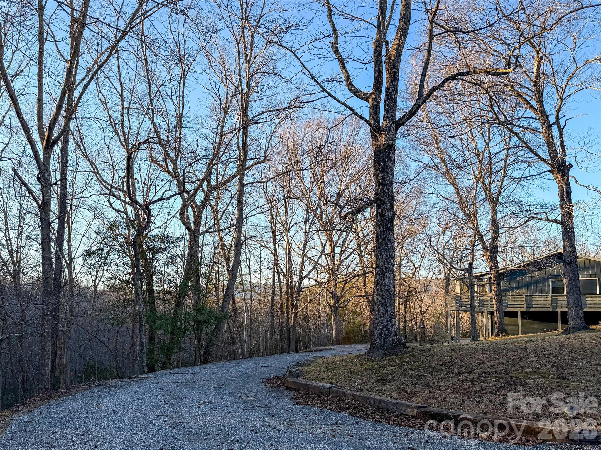 550 South River Road Tryon, NC 28782 - Photo 5 of 47 a view of a backyard with large trees