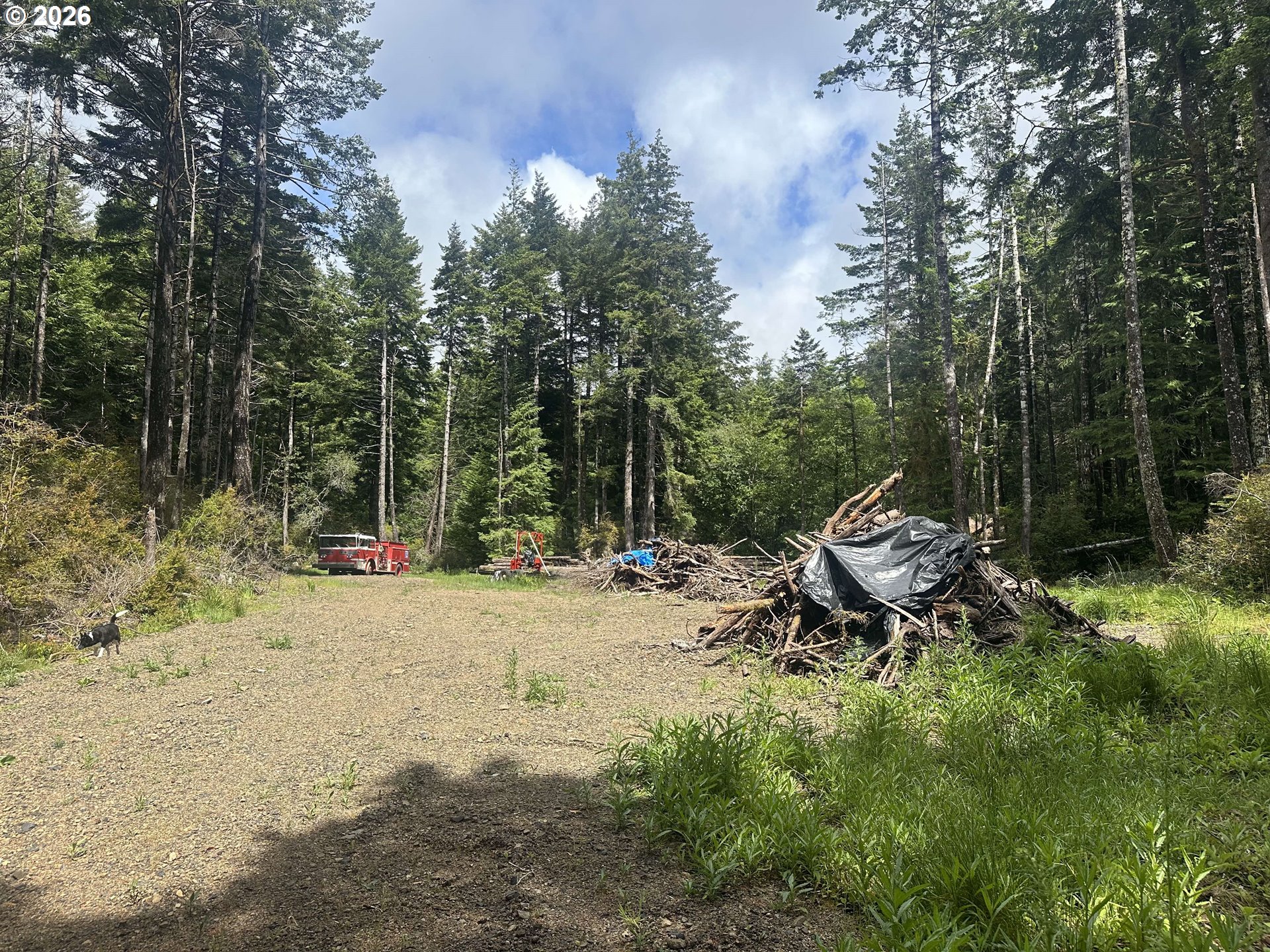 Cedar Hollow Road Port Orford, OR 97465 - Photo 4 of 6