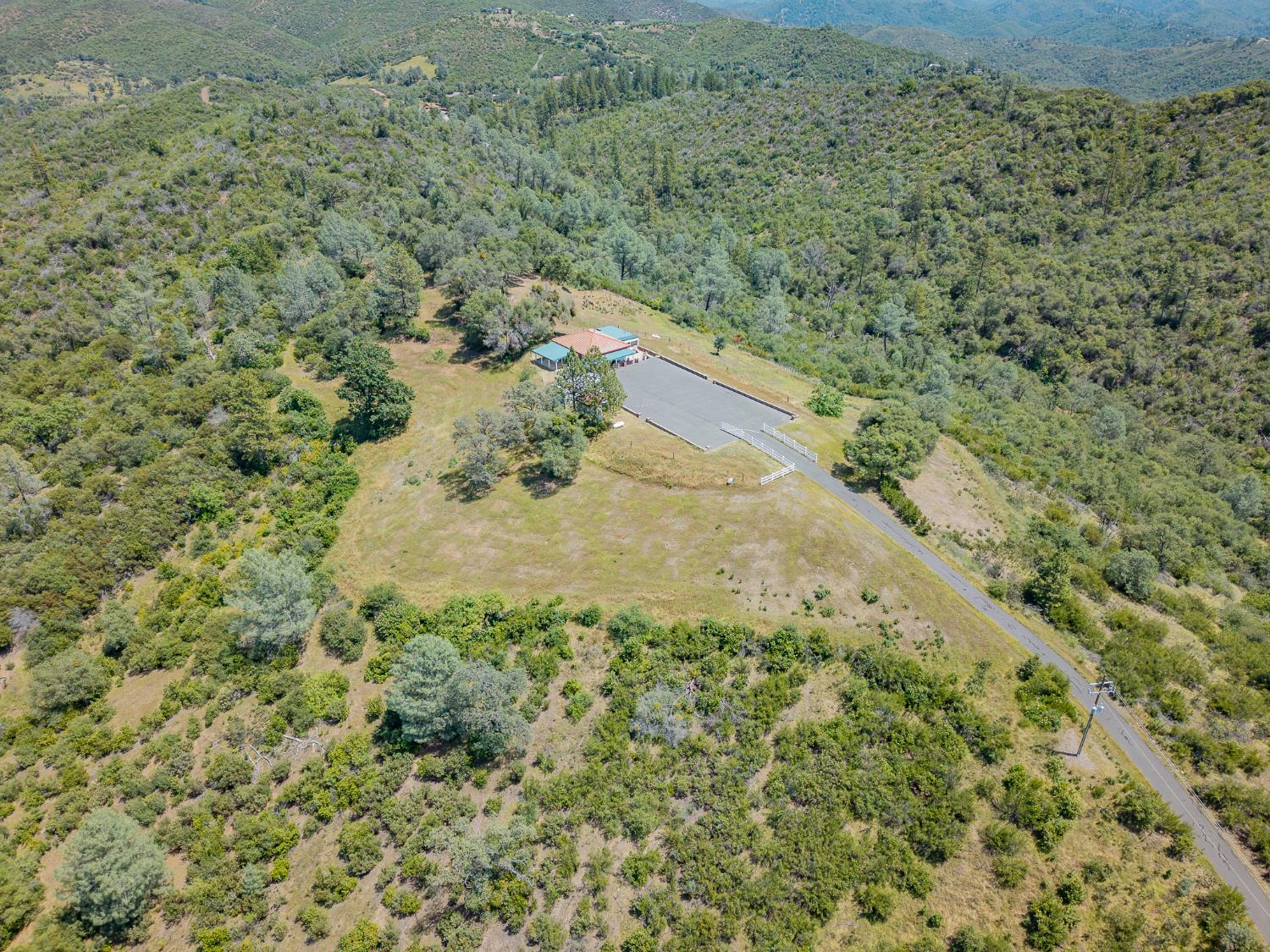 5912 Old Gulch Road San Andreas, CA 95249 - Photo 45 of 71 a view of a forest with a dry yard