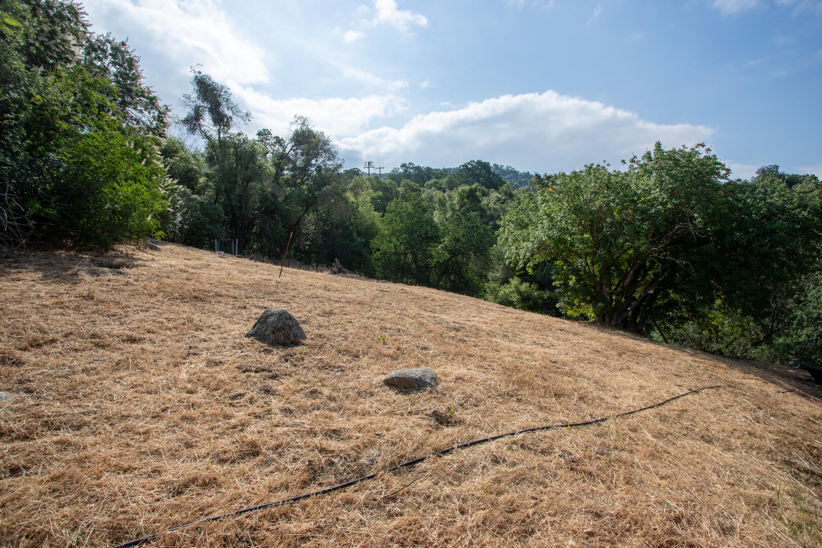 41945 Bear Creek Road Springville, CA 93265 - Photo 5 of 41 IMG_0796-HDR
