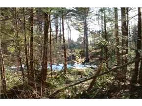 74-1 Lyndeboro Road New Boston, NH 03070 - Photo 5 of 9