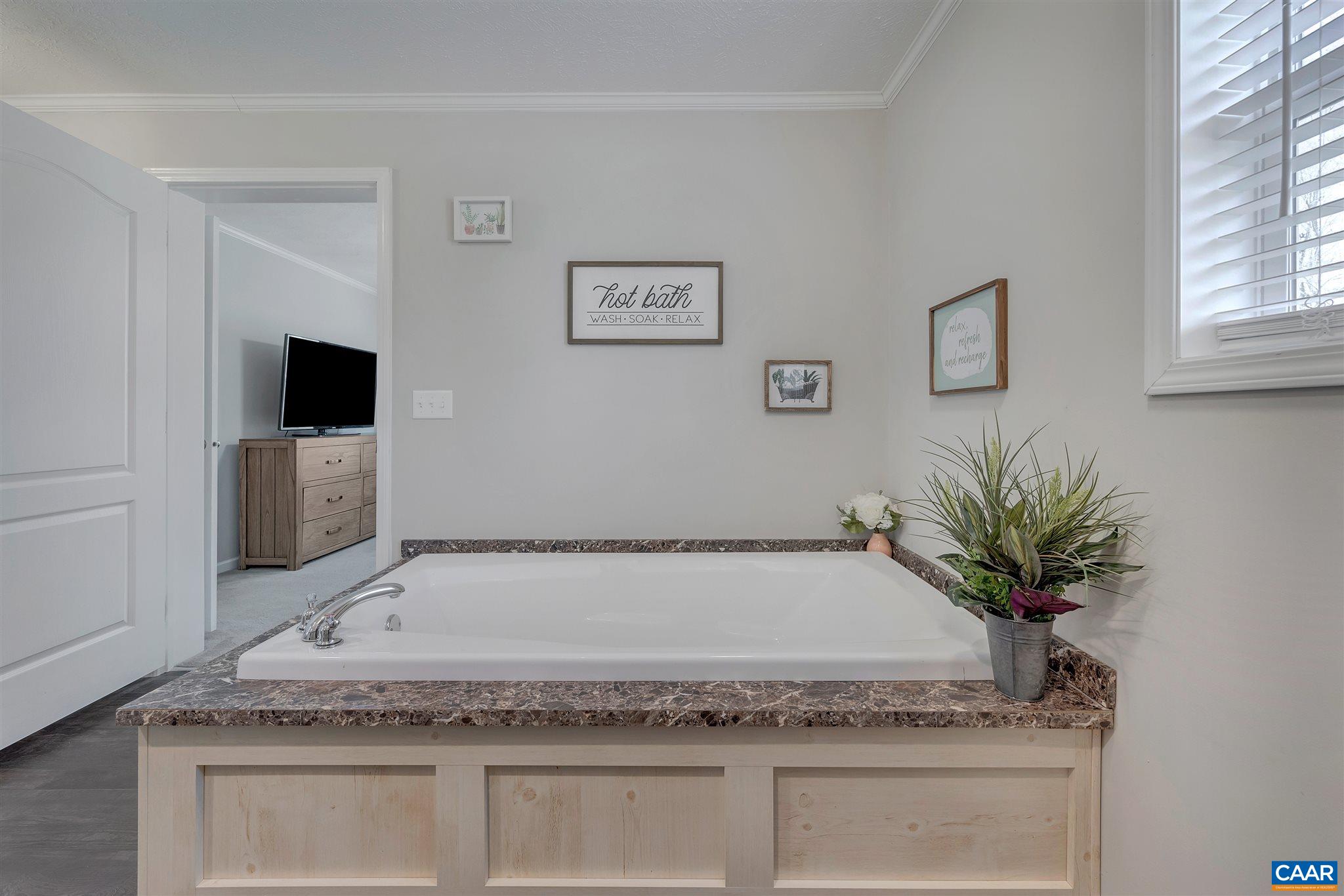 4491 Amicus Road Ruckersville, VA 22968 - Photo 17 of 37 a bathroom with a granite countertop sink a mirror and a potted plant