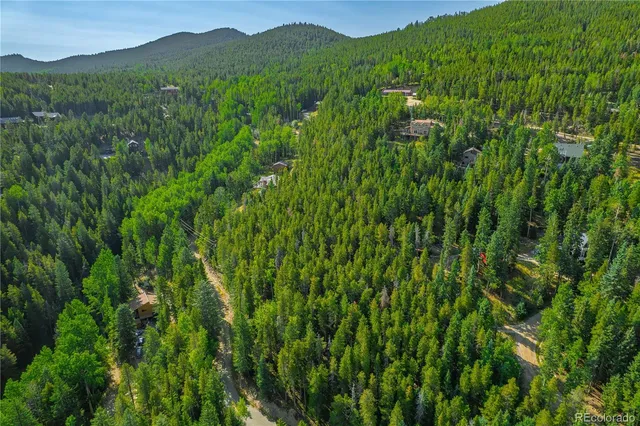 a view of a lush green forest with trees in the background