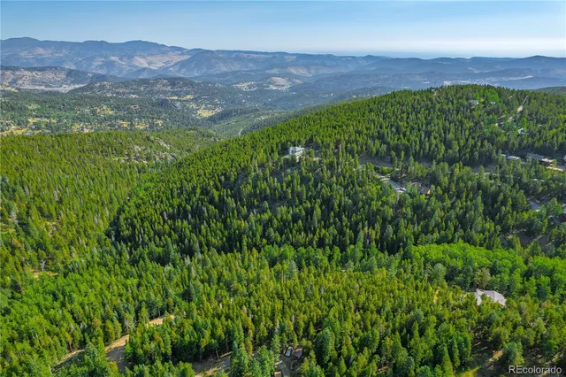 a view of a lush green field with a mountain in the background