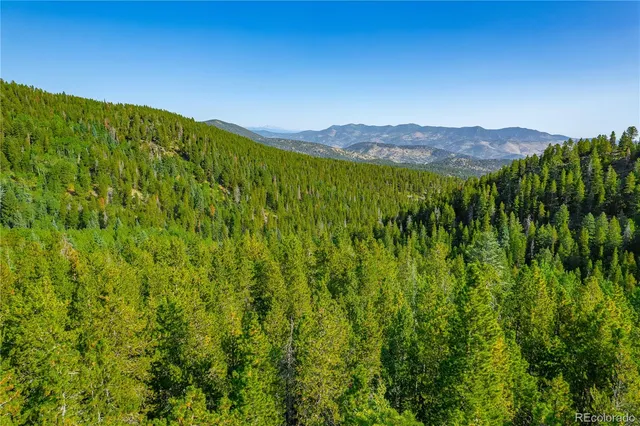a view of a lush green field with lots of plants in it