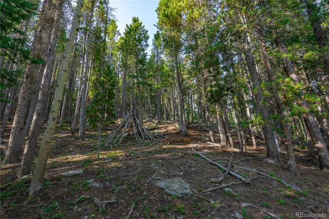 a view of outdoor space with trees