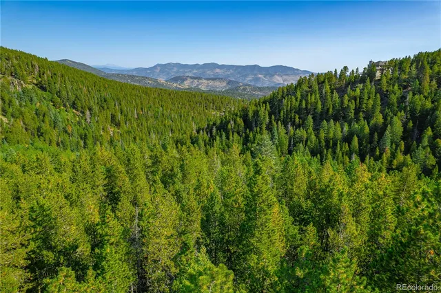a view of a lush green hillside and a mountain view