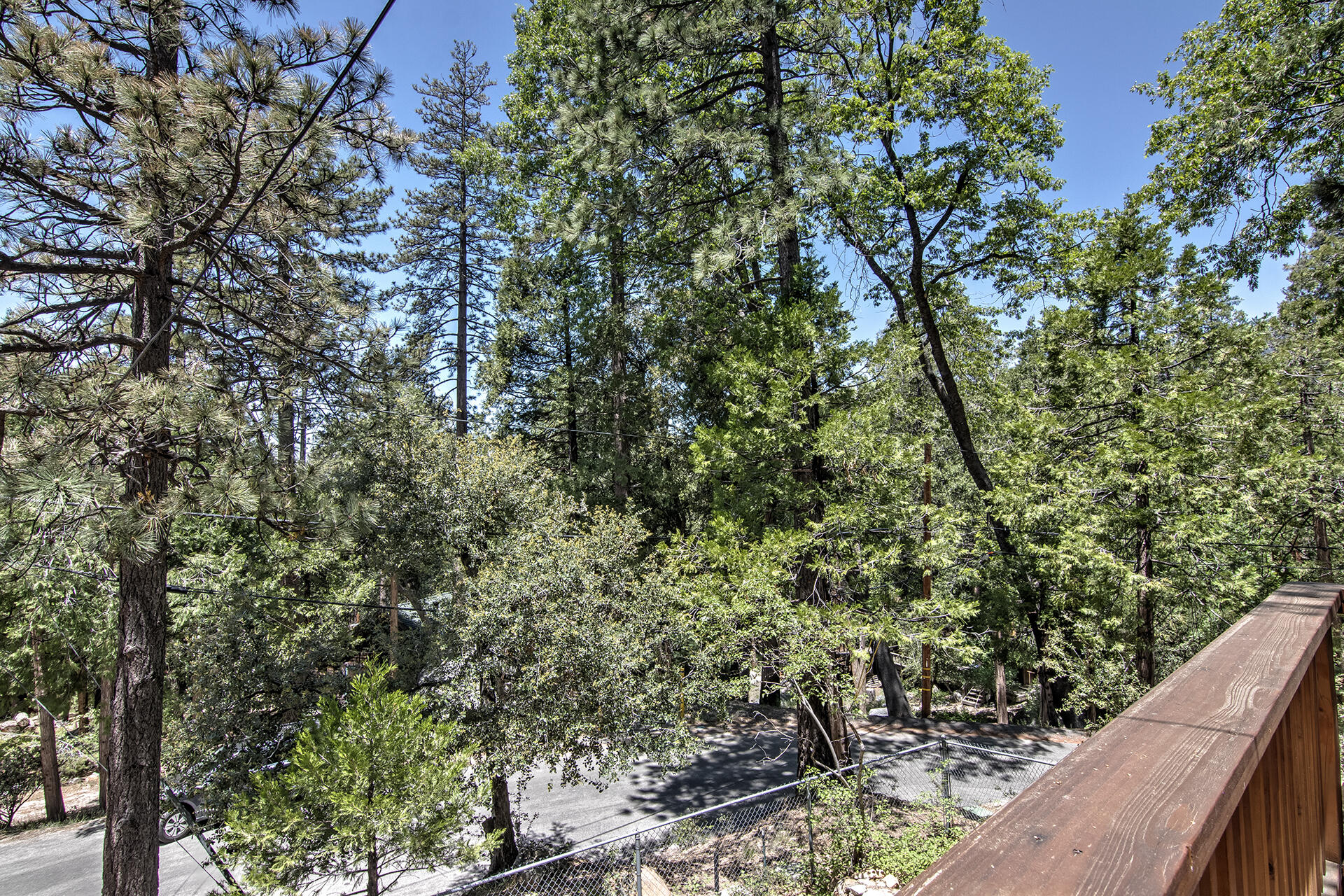 25770 Scenic Drive Idyllwild, CA 92549 - Photo 12 of 51 a view of a forest from balcony