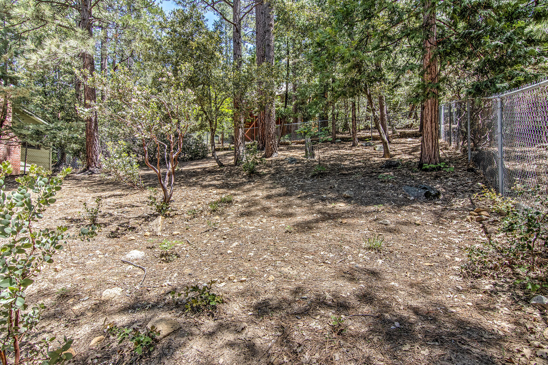 25770 Scenic Drive Idyllwild, CA 92549 - Photo 44 of 51 a backyard of a house with lots of plants and large trees