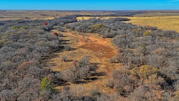 a view of beach and ocean