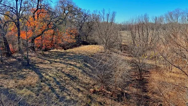 a view of a dry yard with trees in the background
